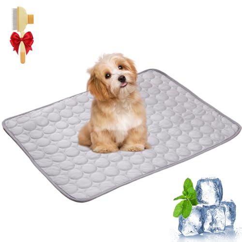 Pfotenfrost Matte, Pfotenfrost Matte für Katzen, Eiskühler Stoff, Schützt Deinen Hund Vor Überhitzung, für Gartenbett, Haus und Autositz (Grau, L(100 * 70cm)) von Snrtevu
