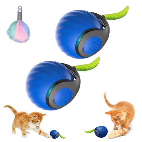 Snrtevu Chase Master Pro, Chase Master Pro Katzenspielzeug, Speedy Tail 2.0, Speedy Tail Katzenspielzeug, Automatisches Katzenspielzeugs Interaktiven Katzenspielzeugballs Lindert äNgste (2pcs Blau) von Snrtevu