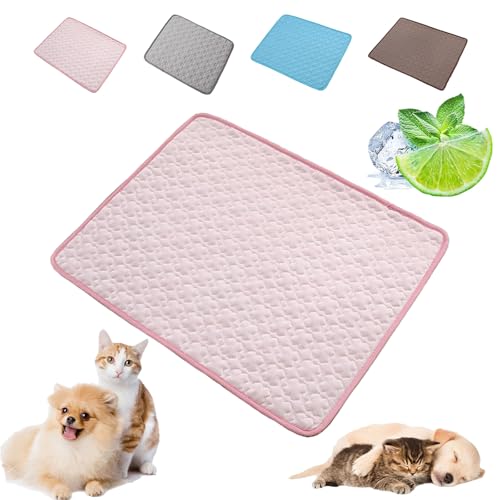 Snrtevu Dog Cooling Mat Pad, Dog Cooling Mat Large, Waterproof Durable Pet Cool Mats Bed Pet Dogs Cat Heat Relief, Great for Dogs Cats In Hot Summer (Pink,XS (40 * 30cm)) von Snrtevu