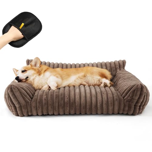 Snrtevu Haustiersofa Chaffar, Haustiersofa-Chaffar-Moderner-Stil-Cord-Design-Orthopadische-Matratze, Katzenbett Groß für GroßE, Mittlere und Kleine Hunde und Katzen (Braun, L) von Snrtevu