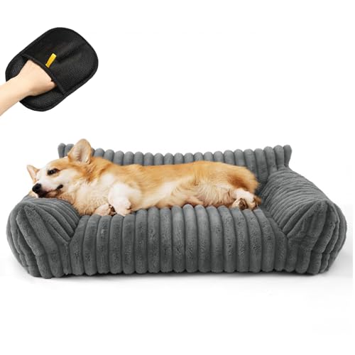 Snrtevu Haustiersofa Chaffar, Haustiersofa-Chaffar-Moderner-Stil-Cord-Design-Orthopadische-Matratze, Katzenbett Groß für GroßE, Mittlere und Kleine Hunde und Katzen (Grau, S) von Snrtevu
