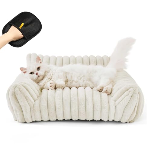 Snrtevu Haustiersofa Chaffar, Haustiersofa-Chaffar-Moderner-Stil-Cord-Design-Orthopadische-Matratze, Katzenbett Groß für GroßE, Mittlere und Kleine Hunde und Katzen (Weiß, L) von Snrtevu
