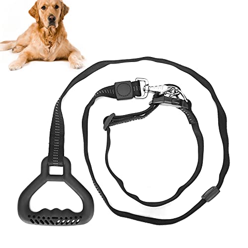 Hundeleine Halsband Set, verstellbare Hundehalsbänder Haustier Seilleine mit Halsband mit bequemem Griff für Spaziergang mit dem Hund(Black) von Snufeve6