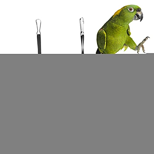 Papageien-Hänge-Nest, Bequeme Flanell-Haustier-Hängematte Warmes Haustier liefert Papageien-Hängematte zum Spielen(S, Bear + Green Background) von Snufeve6