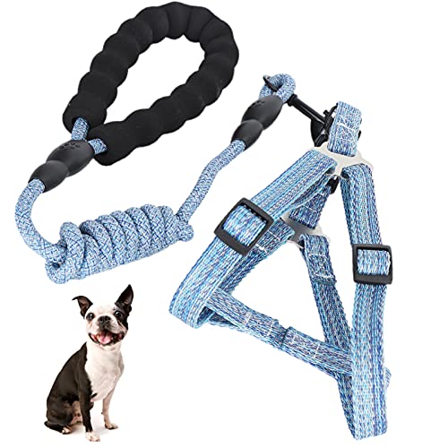 Hundegeschirr, Anti-Lost Blue Hundegeschirr mit Leine Fluchtsicher verstellbar mit Hundeleine zum Spazierengehen für Haustiere(M (Suitable for 8-15 kg)) von Snufeve6
