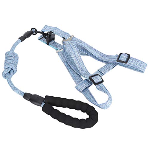 Hundegeschirr, Anti-Lost Blue Hundegeschirr mit Leine Fluchtsicher verstellbar mit Hundeleine zum Spazierengehen für Haustiere(XL (Suitable for 45-60 kg)) von Snufeve6