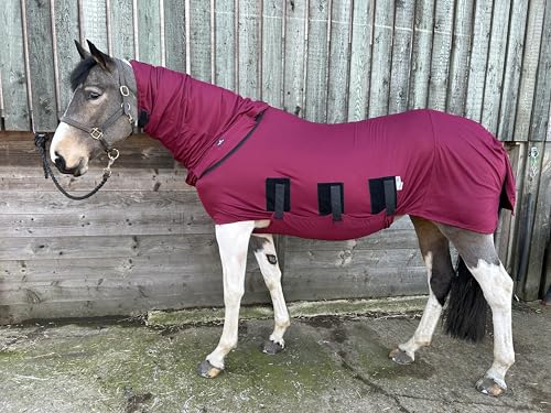 Base Body Rug Unterziehdecke von Snuggy Hoods - die essentielle Decke in jeder Pferde-Garderobe - 3 Farben, 14 Größen (Burgunderrot, 6'6" (ca. 201 cm)) von Snuggy Hoods