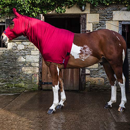 Glänzende Lycra Kapuze für Pferde aus Nylon-Spandex von Snuggy Hoods - 3 Farben, 8 Größen - Reißverschluss-Version (Brugunderrot, ML) von Snuggy Hoods