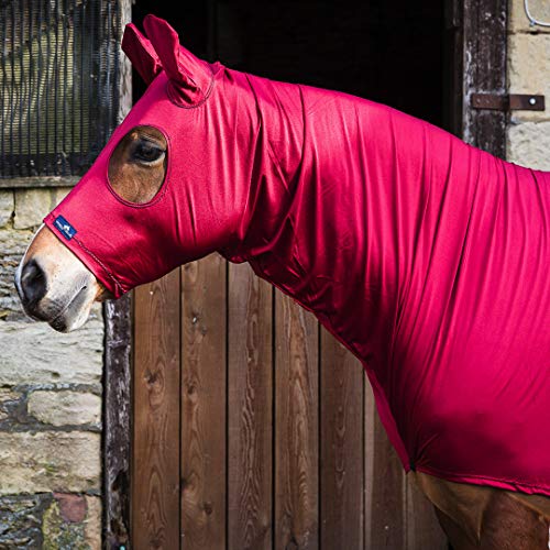 Glänzende Lycra Kapuze für Pferde aus Nylon-Spandex von Snuggy Hoods - 3 Farben, 8 Größen - Überzieh-Version (Burgunderrot, L) von Snuggy Hoods