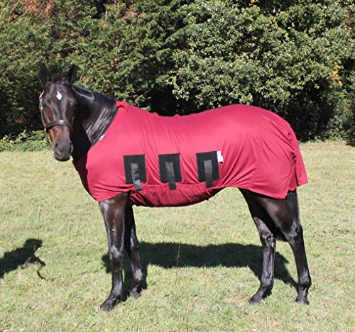 Snuggy Hoods Ltd Reiter SSRU70BU Teppich mit Bauch, burgunderfarben, 2,1 m von Snuggy Hoods