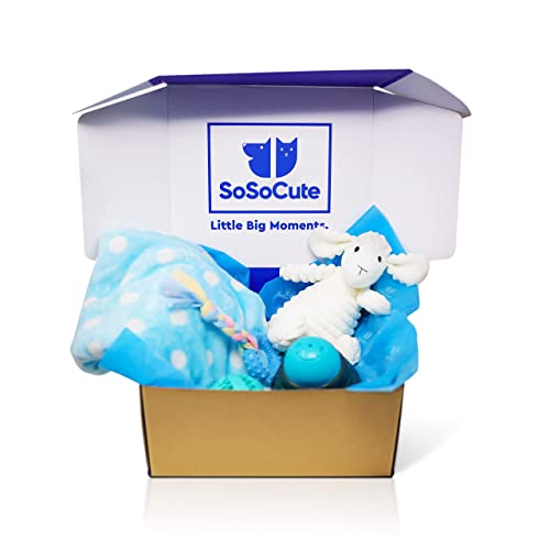 SoSoCute Blue Dog Geschenkbox - Welpen Kauspielzeug 5er Set - Welpenpflege Paket mit Hundedecke, Quietschplüsch, Gummi-Welpen-Beißring, Beißball und Leckerli-Ball für kleine und mittelgroße Hunde von SoSoCute