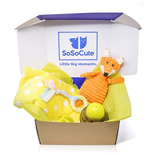 SoSoCute Gelbe Hunde-Geschenkbox – Welpenkauspielzeug Set von 5 Stück – Welpenpflegeset mit Hundedecke, Gummi-Beißring, Zahnball und Leckerli-Ball für kleine und mittelgroße Hunde von SoSoCute