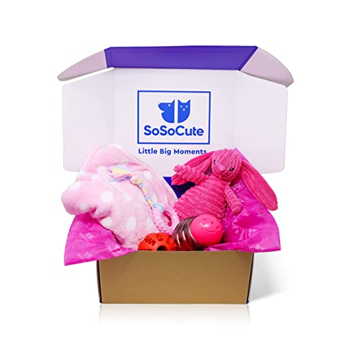 SoSoCute Pinke Hunde-Geschenkbox – Kauspielzeug für Welpen, Set mit 5 Stück – Welpenpflege-Paket mit Hundedecke, Gummi-Beißring, Ball zum Beißen und Leckerli-Ball für kleine und mittelgroße Hunde von SoSoCute
