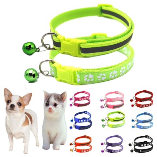 XS Hundehalsband mit Glöckchen, Katzenhalsband mit Glöckchen, für Kätzchen, Welpen, kleines Mädchen, weiblich, Jungen, Welpen, Halsband für XXS, XS, XS, XS, XS, extra kleine Rassen, Haustiere, XS Hundehalsband mit Glöckchen, Katzenhalsband mit Glöckchen, für Kätzchen, Welpen, kleines Mädchen, weiblich, Jungen, Welpen, Halsband für XXS, XS, XS, XS, XS, extra kleine Rassen, Haustiere, von SoSoPet