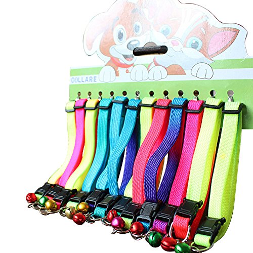 Sobotoo Hundehalsband-Set, verstellbar, Regenbogenfarben, 23,9 cm ~ 34 cm, 12 Stück von Sobotoo