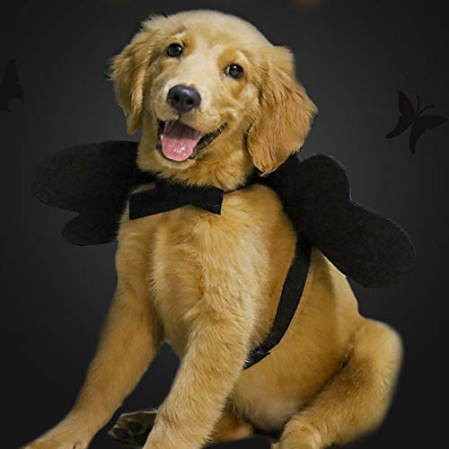 Sobotoo Halloween-Kostüm für Hunde und Katzen, Kürbis-Kostüm, für Cosplay-Partys, lustiges Kostüm für Katzen, kleine Hunde, Welpen von Sobotoo