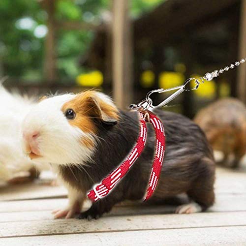 Sobotoo Hamstergeschirr und Leinen, verstellbare Anti-Biss-Brustgurte für kleine Tiere, Outdoor, Walking, Training, Leine für Zwerghamster, Rennmäuse, Ratten, Maus (B) von Sobotoo