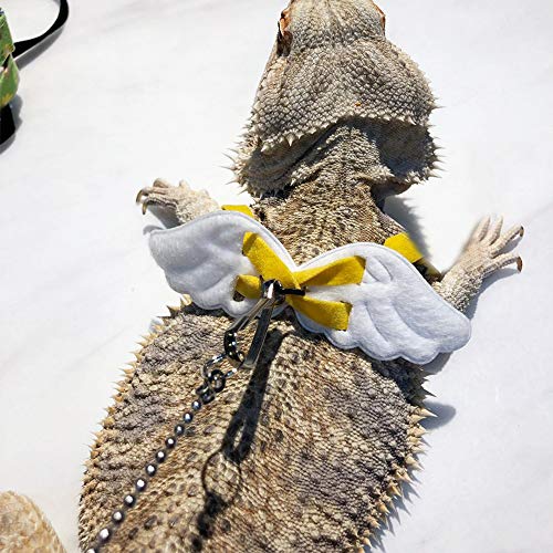 Sobotoo Verstellbares Hundegeschirr für Reptilien, Eidechse, mit Engelsflügeln, 1,2 m von Sobotoo