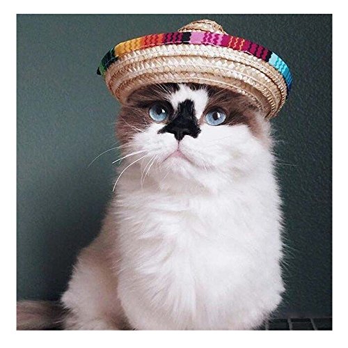 Sotoboo Sombrero-Zylinder für mexikanische Hunde und Katzen, Stroh, verstellbare Schnalle, Kostüm für kleine Tiere, Party, Fiesta, Zubehör, 1 Stück, Baumwolle von Sobotoo