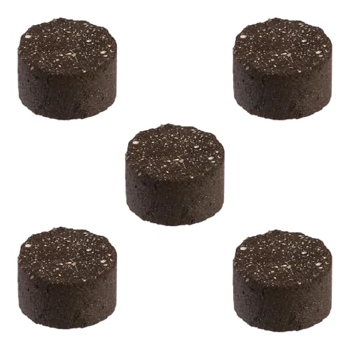 Söchting Katalysatorsteine für Oxydator Mini | 5er Pack für zuverlässige Sauerstoffzufuhr in Kleinaquarien | Langlebige Ersatzsteine für optimale Wasserqualität von Söchting Biotechnik