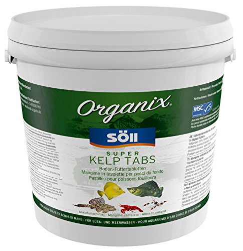 Söll 83772 Organix Super Kelp Tabs, 5 l - Boden-Futtertabletten für Süß- und Meerwasserfische Söll 83772 Organix Super Kelp Tabs, 5 l - Boden-Futtertabletten für Süß- und Meerwasserfische von Söll
