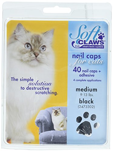 SOFTCLAWS® Krallenschutzes für Katzen - Medium - Schwarz von Soft Claws