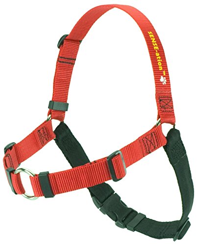 Erziehungsgeschirr für temperamentvolle Hunde â€“ Das SENSEation Harness Erziehungshalsband für Hunde, die stark an der Leine ziehen â€“ Anti Zieh ! (Rot, ML 2.5cm) von Softouch Concepts