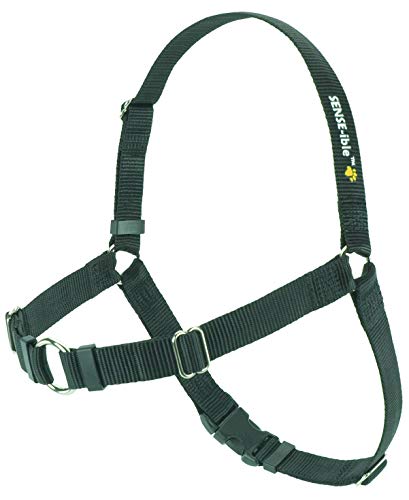 Softouch Baum Training / Antitirones M / L 1 " Schwarz von Softouch Concepts