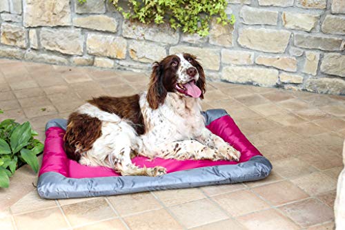Sogni e Capricci Pets, wasserdichte Haustiermatte, 2 Stück, Rosa, 55 x 38 cm Sogni e Capricci Pets, wasserdichte Haustiermatte, 2 Stück, Rosa, 55 x 38 cm von Sogni e Capricci Pets