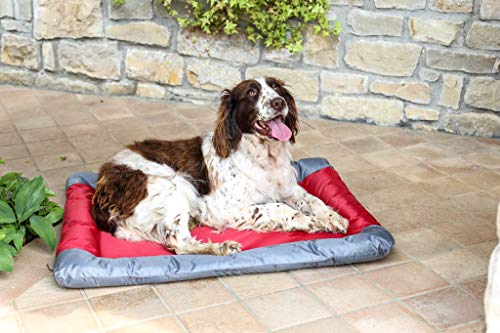 Sogni e Capricci Pets, Haustiermatte, wasserdicht, 2 Stück, Rot, 71 x 57 cm Sogni e Capricci Pets, Haustiermatte, wasserdicht, 2 Stück, Rot, 71 x 57 cm von Sogni e Capricci Pets