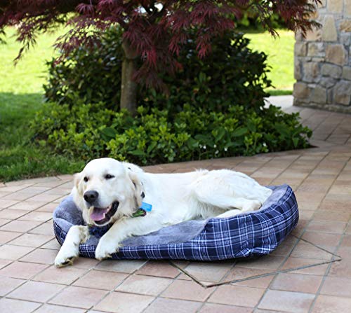 Sogni e Capricci Pets 2 Willy-Würfel, 62 x 50 x 17 cm, 2 Einheiten von Sogni e Capricci Pets
