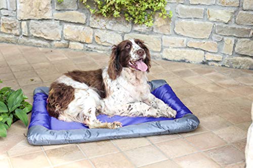 Sogni e Capricci Pets Paket 4 wasserdichte Fußmatten für Haustiere, Blau, 55 x 38 cm Sogni e Capricci Pets Paket 4 wasserdichte Fußmatten für Haustiere, Blau, 55 x 38 cm von Sogni e Capricci Pets