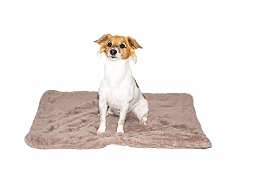 Sogni e Capricci Pets Super Flauschige Fußmatten, Braun, 83 x 64 cm, 2 Stück Sogni e Capricci Pets Super Flauschige Fußmatten, Braun, 83 x 64 cm, 2 Stück von Sogni e Capricci Pets