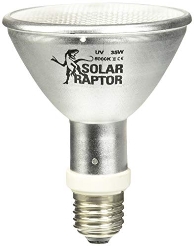 SOLAR RAPTOR HID UV-Strahler 35 Watt Flood, Metalldampflampe, Wärme & UV-Lampe für Terrarien von SOLAR RAPTOR