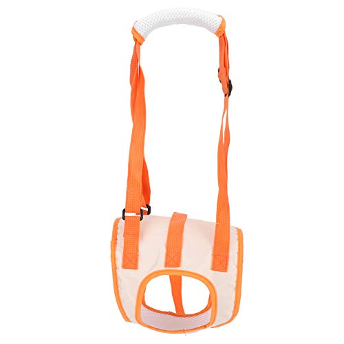 Hundeassistent -Kabelbaum Atmungsaktivem Mesh Pet Lift, Hinterbeingürtel -Hebebürtel für Behinderte, Verletzungslernleiter (S) von Solinder
