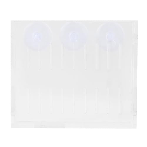 Top -Qualität Acrylaquarium Lebende Pflanzenbecher, Sicher, Stabil mit 3 Saugnäpfeln, Großartige Dekoration für Garnelen oder Gepflanzte Panzer, Sparplatz, Exquisites von Solinder