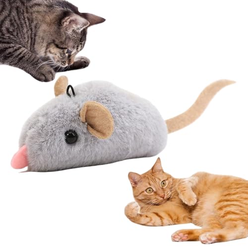 Sollee Anregende Katzenspielzeuge - Plüschspielwaren Mit Piepgeräusch Interaktive Mäuse - Berührungsaktivierte Stofftiere Zur Beschäftigungsförderung Für Wohnungskatzen Bewegung Jagdtraining Spiel Sollee Anregende Katzenspielzeuge - Plüschspielwaren Mit Piepgeräusch Interaktive Mäuse - Berührungsaktivierte Stofftiere Zur Beschäftigungsförderung Für Wohnungskatzen Bewegung Jagdtraining Spiel von Sollee