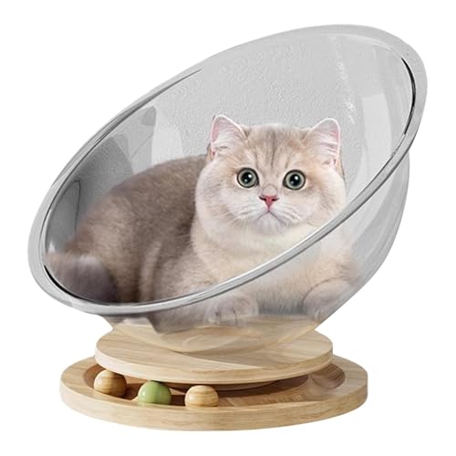 Sollee Katzencouch, süßes Katzenbett - Klares freistehendes kleines Katzenbett,Freistehendes Katzenbett, Haustierbedarf, Bettspielzeug für kleine Haustiere, leicht zu reinigendes, stabiles Sollee Katzencouch, süßes Katzenbett - Klares freistehendes kleines Katzenbett,Freistehendes Katzenbett, Haustierbedarf, Bettspielzeug für kleine Haustiere, leicht zu reinigendes, stabiles von Sollee