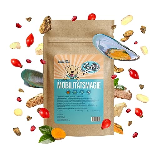 Sollis Gelenkpulver für Hunde | Grünlippmuschel | MSM | Teufelskralle | Glucosamin | Kollagen | 100g Sollis Gelenkpulver für Hunde | Grünlippmuschel | MSM | Teufelskralle | Glucosamin | Kollagen | 100g von Sollis