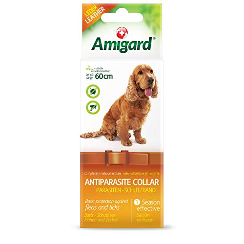 Amigard Antiparasitenband für Hunde, 60 cm, wasserfest, zurückschneidbar, gegen Zecken, Milben und Flöhe, ohne Chemie für eine natürliche Fellpflege Amigard Antiparasitenband für Hunde, 60 cm, wasserfest, zurückschneidbar, gegen Zecken, Milben und Flöhe, ohne Chemie für eine natürliche Fellpflege von Solnova AG