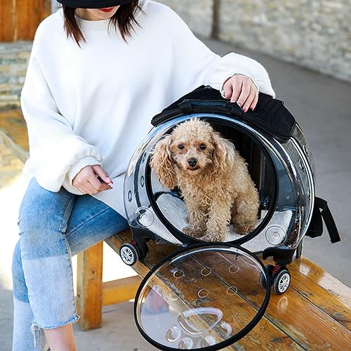 Haustier-Tragetasche auf Rädern, multifunktional, leise Räder, Haustier-Trolley, transparente Belüftung, Welpen-Trolley, Rucksack, tragbar, für Katzen, Hunde, Rucksack für Wandern, Spazierengehen, Haustier-Tragetasche auf Rädern, multifunktional, leise Räder, Haustier-Trolley, transparente Belüftung, Welpen-Trolley, Rucksack, tragbar, für Katzen, Hunde, Rucksack für Wandern, Spazierengehen, von Somerway