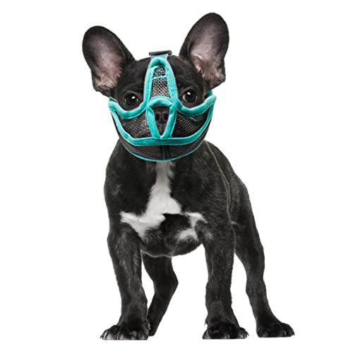 Sonew Maulkorb für kleine Hunde, mit kurzer Schnauze, atmungsaktiver Netzmaulkorb, Flacher Maulkorb für Französische Bulldogge, Shih Tzu und Mops (XL) von Sonew