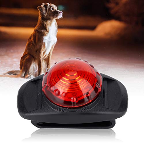 Sonew LED Luminous Pet Collar, Wasserdichtes ABS-Kunststoff-Anti-Lost-LED-Leuchtanhänger-Leuchtstoffriemenband, 2,36 X 1,38 X 1,38 Zoll (Rot) von Sonew