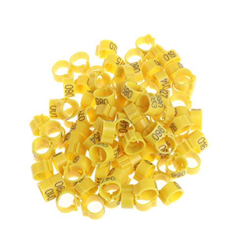 Songelt 100 Stück 10 mm Vogel-Beinbänder für Fußbänder, Clip-Ringe für Huhn, Wachtel, Geflügel, mehrfarbig, Papageienspielzeug, afrikanisches Grau, kleine Papageien, große Vögel, Aras Songelt 100 Stück 10 mm Vogel-Beinbänder für Fußbänder, Clip-Ringe für Huhn, Wachtel, Geflügel, mehrfarbig, Papageienspielzeug, afrikanisches Grau, kleine Papageien, große Vögel, Aras von Songelt