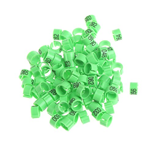 Songelt Hühnerbeinringe, 8 mm, Beinbänder mit Zahlen, kleines Geflügel, Clip-On-Fußringe für Enten, Tauben, Papageien, Spielzeug, afrikanisches Grau, für kleine Papageien, große Vögel, Aras Songelt Hühnerbeinringe, 8 mm, Beinbänder mit Zahlen, kleines Geflügel, Clip-On-Fußringe für Enten, Tauben, Papageien, Spielzeug, afrikanisches Grau, für kleine Papageien, große Vögel, Aras von Songelt