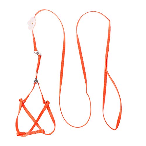 Verstellbares, weiches Geschirr mit elastischer Leine für Vögel, einfache Kontrolle, Leine, Weste, Fliegen für Kreuzband, Vogelschaufel Verstellbares, weiches Geschirr mit elastischer Leine für Vögel, einfache Kontrolle, Leine, Weste, Fliegen für Kreuzband, Vogelschaufel von Songelt