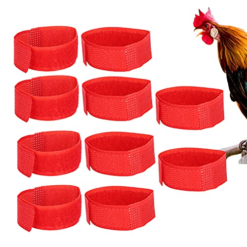 Sonhomay 10 Stück Hahnhalsband, Hühnerhalsband, Anti-Haken, geräuschfreies Nackenband, hält Hähne ruhig, Nackengürtel für Hähne, verhindert, dass Hühner schreien, störende Nachbarn Sonhomay 10 Stück Hahnhalsband, Hühnerhalsband, Anti-Haken, geräuschfreies Nackenband, hält Hähne ruhig, Nackengürtel für Hähne, verhindert, dass Hühner schreien, störende Nachbarn von Sonhomay