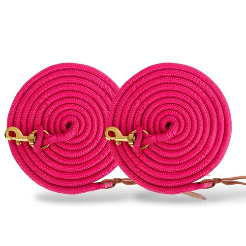 4,3 m Poly-Führungsseil, 2er-Pack für Pferde, Trainingsleine, mit starken Bolzenschnappen, Rosa 4,3 m Poly-Führungsseil, 2er-Pack für Pferde, Trainingsleine, mit starken Bolzenschnappen, Rosa von Sony Interactive Entertainment