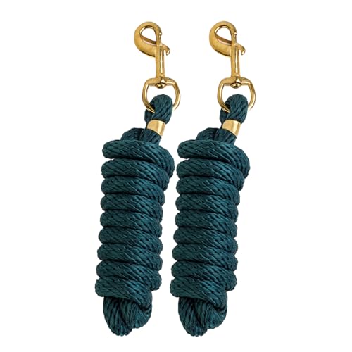 Stabile Poly-Führungsseile für Pferde und Nutztiere, 1,6 cm breit, Bolzenverschluss, Jägergrün, 2 Stück Stabile Poly-Führungsseile für Pferde und Nutztiere, 1,6 cm breit, Bolzenverschluss, Jägergrün, 2 Stück von Sony Interactive Entertainment