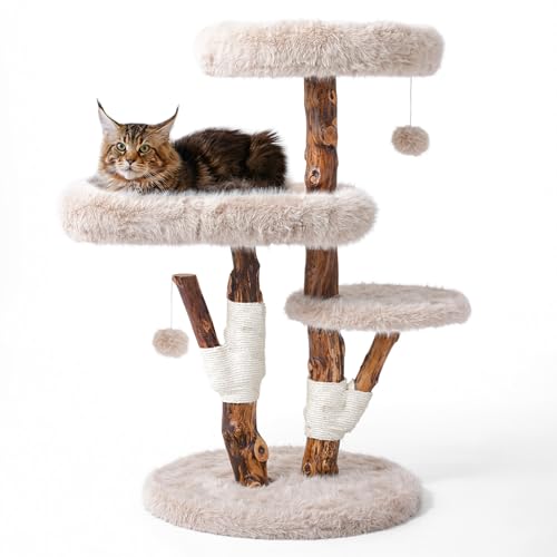 Einzigartiger Massivholz-Kratzbaum für große Katzen, Maine Coon (Beige, 116,1 cm H) von Sopapets
